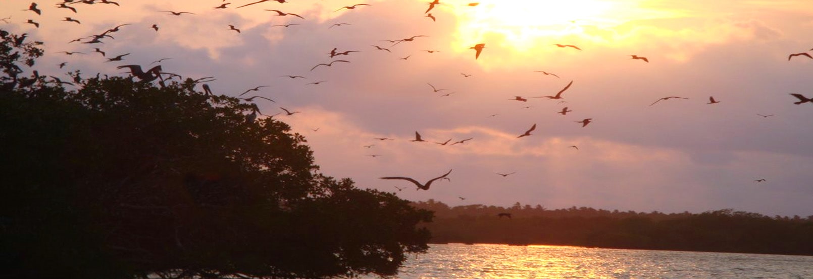 RUTA OLMECA ZOQUE EN TABASCO